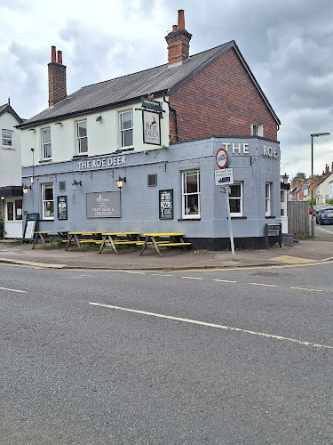 The Roe Deer - Reigate