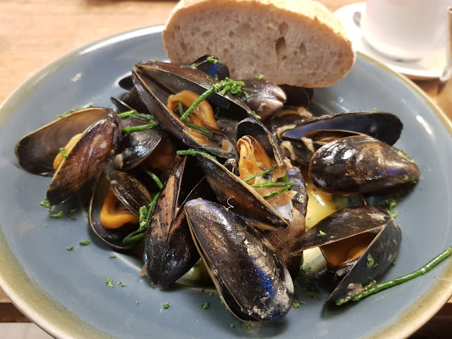 Mister Chips - Hospitality and gastronomy