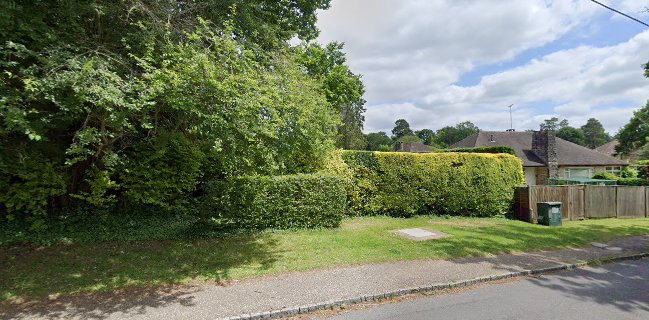 Sussex Cakes and Bakes