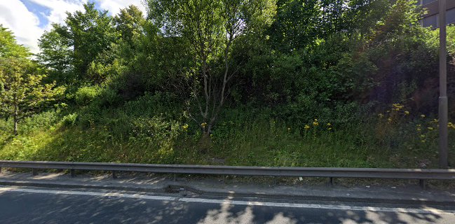 Reilly's Coffee Shop