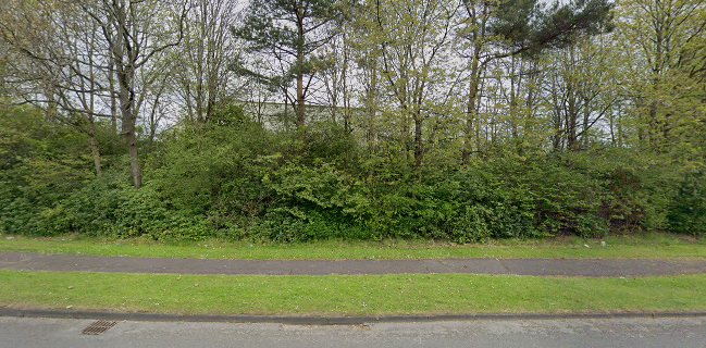 Stewart's Drinks Mobile Bars