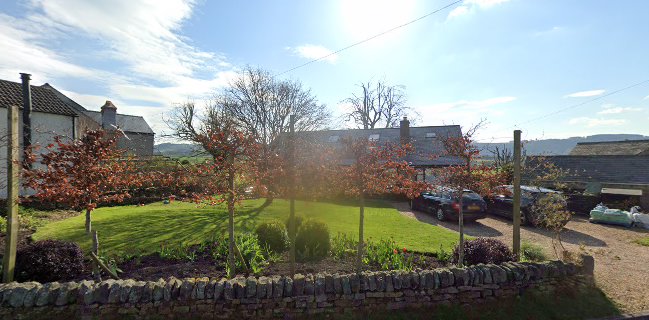 Tasty Trotter Event Supplies