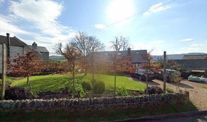 Tasty Trotter Event Supplies