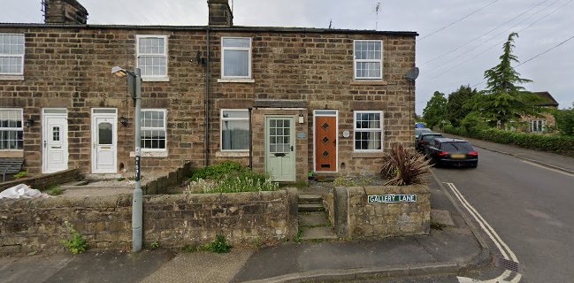 Tʜᴇ Fɪᴢᴢ Bᴜᴄᴋᴇᴛ