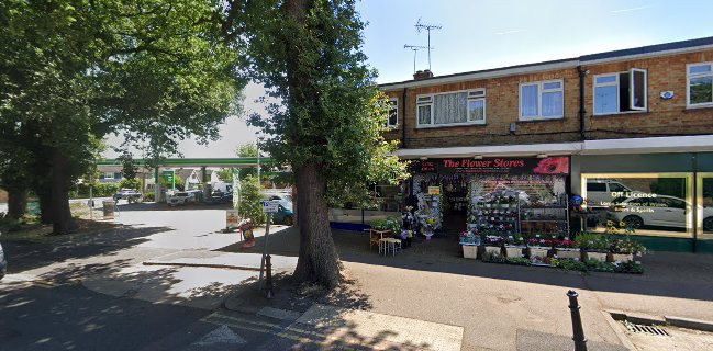 Fish Express Fish &Chip